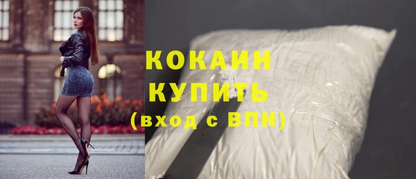 гашик Богородск