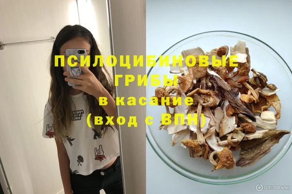 ECSTASY Бородино