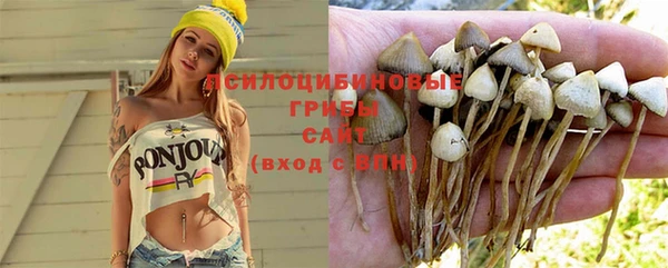 кристаллы Богданович