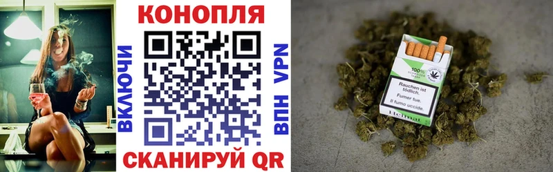 Конопля гибрид  Купить закладки  Петухово 
